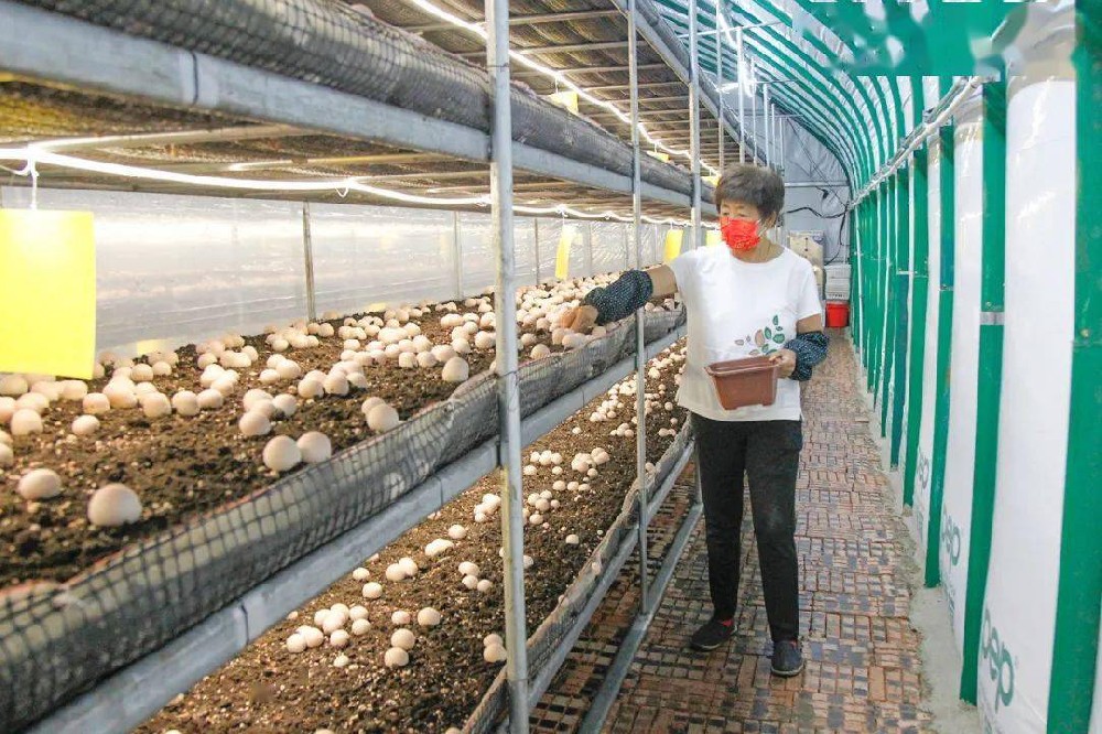 1660792224239886.jpeg 14-53-23-77-283825.jpeg