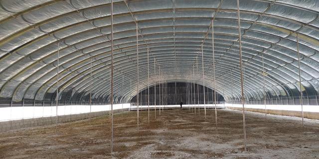 1661481548272179.jpeg 09-39-12-32-283825.jpeg