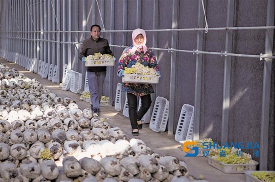 1662216543563989.jpg 18309895954392308964.jpg